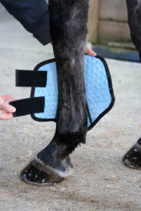 Flatwork-Wrap-showing-stomatex